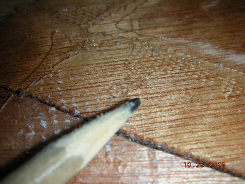 post-1865-129497689776_thumb.jpg