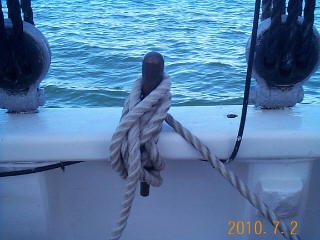 post-1878-129497701627_thumb.jpg