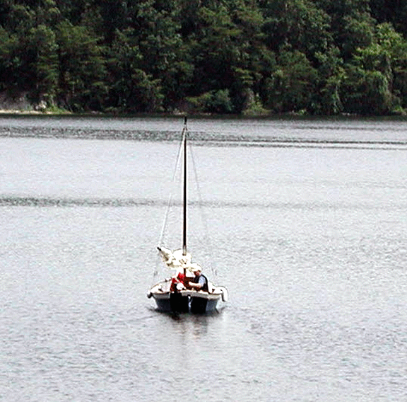 post-794-129497674493_thumb.gif