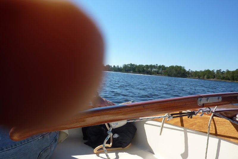 post-354-0-58535300-1352746854_thumb.jpg
